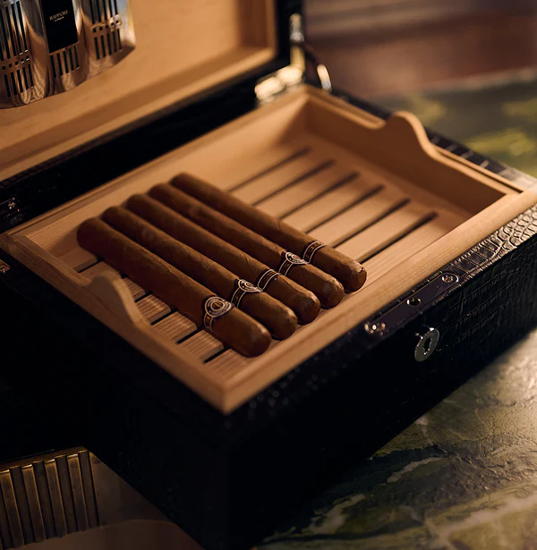 Cigar Humidors